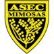 ASEC Mimosas