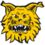 Ilves